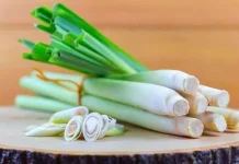 Manfaat Daun Bawang yang Jarang Diketahui