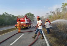 Damkar Malra Gencarkan Edukasi Cegah Karhutla hingga Tingkat Ohoi