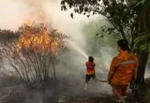 33 Titik Kebakaran di Maluku Tenggara, Kota Tual Relatif Aman