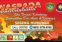 Damkar Kota Tual Ungkap Tiga Penyebab Utama Karhutla