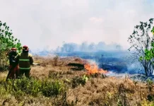 Fenomena Karhutla Menjadi Ancaman Nyata di Teritori Kepulauan Kei