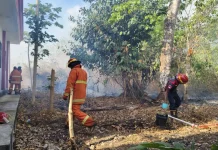 Kebakaran Hanguskan Bangunan SMP Muhammadiyah Wain dan Lahan Sekitar
