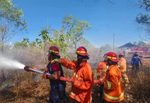 20 Menit Padam! Damkar Malra Taklukan Kebakaran Lahan di Belakang RRI