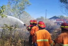 Kebakaran Lahan Jadi Perhatian Bidang Intelijen Kejari Malra