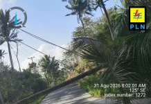 PLN Ungkap Penyebab Listrik Padam Sepekan di Kei Besar Selatan Barat