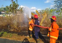 Terjadi Lagi Kebakaran di Malra, Warga Dihimbau Waspada