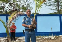 jelang Harhubnas 2026, Pangkalan PLP Kelas II Tual Tanam 100 Pohon Kepala