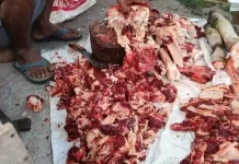 Harga Daging Sapi Naik, Warga Tual dan Maluku Tenggara Harus Kurangi Belanja
