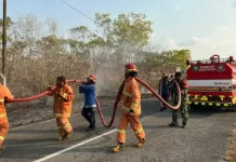 Kebakaran Lahan Kembali Terjadi Damkar Malra Respon Cepat Atasi