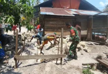 Bersama Warga Babinsa Gotong Royang di Desa