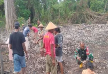 Babinsa Hadir di tengah Warga, Semangat Tanam Cabai Tak Surut meski Lahan Berbatu