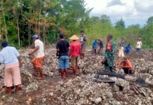 Babinsa Koramil 1503-01/Tual Bantu Warga Tanam Cabai di Lahan Berbatu