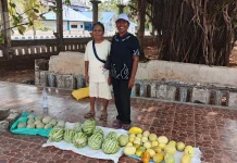 Kemarau Jadi Tantangan Petani Semangka dan Melon di Wunlah Kabupaten Tanimbar