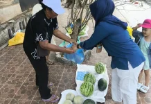 Petani Semangka Minta Pemerintah Tanimbar Perhatikan Kebutuhan Pertanian