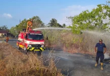 Damkar Malra Tangani 5 Titik Kebakaran, Warga Diminta Stop Bakar Lahan
