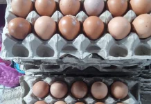 Telur Luar Banyak Busuk,Pedagang Langgur Pilih Telur Lokal Ngadi