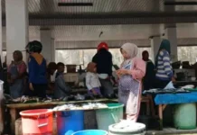 Ditertibkan Setiap Hari,Pedagang Pasar Ikan Minta Bupati Turun Sidak Pasar Ikan
