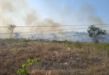 Kebakaran Lahan di Belakang Perumahan Polres Malra Dipadamkan 22 Menit