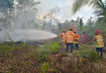 Manyeuw Darurat Karhutla, Sehari Dua Titik Dekat Permukiman Terbakar