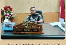 Pelabuhan Tual dan Elat Bakal Diperluas, Ini Bocorannya