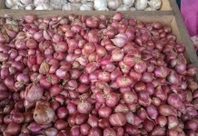 Akhirnya Turun! Harga Bawang di Pasar Langgur Kembali Normal di Angka Rp.50 Ribu Per K
