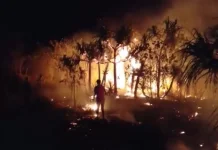 Rawan kebakaran hutan selama musim kemarau, warga desak peningkatan kewaspadaan.