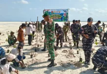 Kodim 1503/Tual Bersama Masyarakat Tanam Mangrove di Ohoidertawun