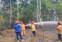 Damkar Malra Beraksi, Padamkan Dua Kebakaran Lahan Sehari di Ohoiluk