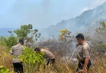 Lagi, Kebakaran Lahan Babat Wilayah Sekitar Sekolah di Kei Besar