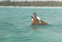Masyarakat Malra Sambut Hangat Program Pengembangan 20.000 Ha. Lahan Rumput Laut