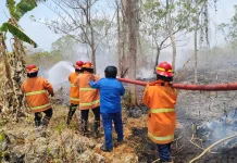 Damkar Malra Nonstop! Sehari Jinakan Dua Karhutla di Ohoi Kolser