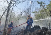 Damkar Malra Tanggapi Keluhan Warga Soal Kebakaran Hutan dan Lahan