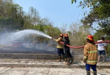 Sehari Tiga Kebakaran Lahan di Malra, Damkar Kerja Maraton dari Siang hingga Malam