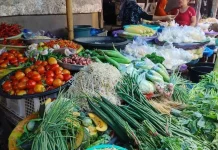 Pedagang Sayur di Kota Tual Takut Gunakan Dana yang Bersumber dari Pinjol