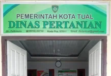 Pasokan Pertanian dari Luar Daerah Perlu Sesuai Kebutuhan Tual