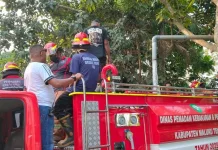 Kebakaran di Jalan menuju Pantai Ngiarwarat, Damkar Malra Behasil Padamkan Api