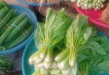 Harga Sayur Mayur di Pasar Langgur Masih Stabil, Pedagang Akui Masih Untung