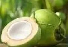 Manfaat Alami Air Kelapa Mengatasi Masalah Pencernaan