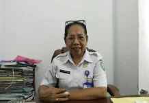 Kabut Asap Berpotensi Ganggu Kesehatan, Dinkes Malra Ingatkan Kelompok Rentan