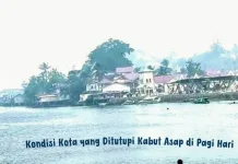 Menembus Kabut di Kepulauan Kei: antara Ancaman Kesehatan dan Ketegasan Mitigasi