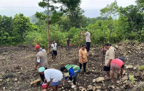 Dukung Asta Cita, Polsek KBS Pupuk Tanaman Jagung