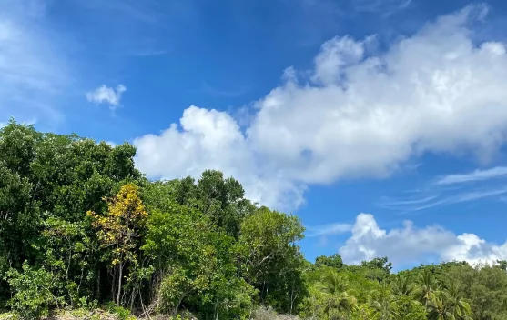 Pantai Ngurtawadan: Kepingan Surga di Maluku Tenggara