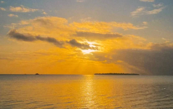 Playlist Santai di Pantai: Lagu DAY6 yang Wajib Didengar