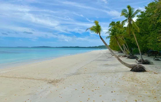 Menikmati Birunya Laut dan Lembutnya Pasir di Pantai Ngurbloat