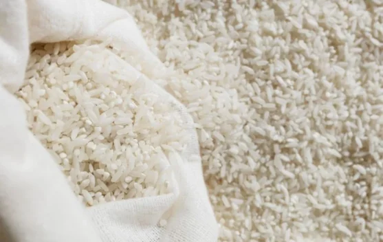 Cara Tepat Menyimpan Beras dan Nasi agar Bebas Kutu dan Tahan Lama