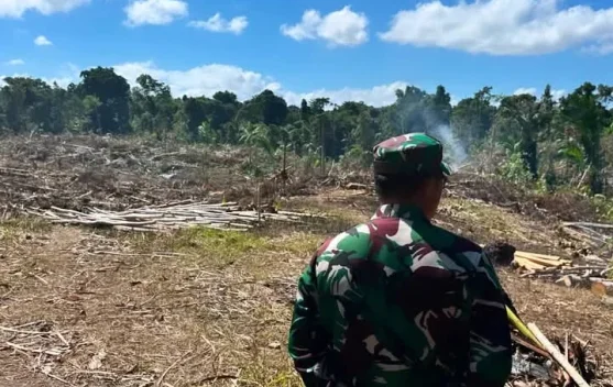 Dandim 1503/Tual Tinjau Marselin Area dan Pembersihan Lahan Yon TP