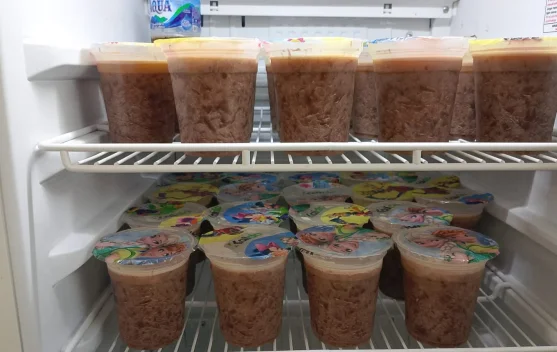 Es Lumut Nona Karibo Langgur Diminati Pelajar Berkat Media Sosial