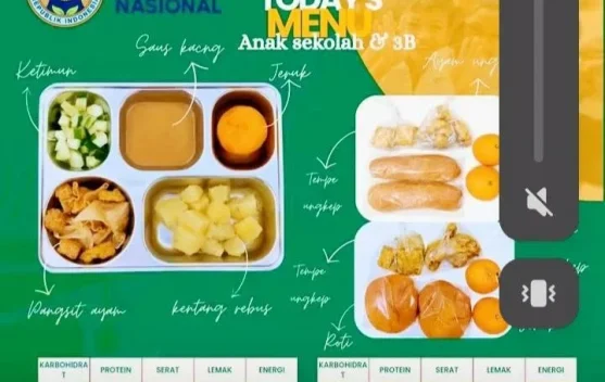 Peraturan Presiden Nomor 115 Tahun 2025, Pengawasan Keamanan Program MBG