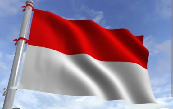 Dua Bendera saat Piala Dunia, Jangan Lupa Satu Bendera Merah Putih di Bulan Agustus