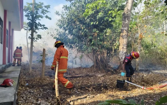 Kebakaran Hanguskan Bangunan SMP Muhammadiyah Wain dan Lahan Sekitar